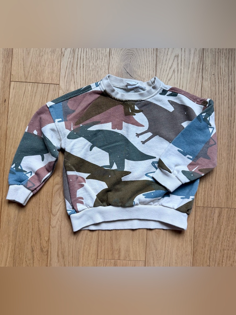 Zara Kids Dinosaur Sweatshirt in Blue, Green, Brown - Size 4-5